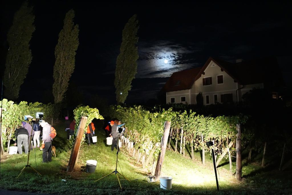 Winzerhof Familie Kloeckl Leilighet Klöch Eksteriør bilde