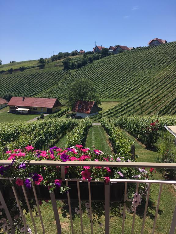 Winzerhof Familie Kloeckl Leilighet Klöch Eksteriør bilde